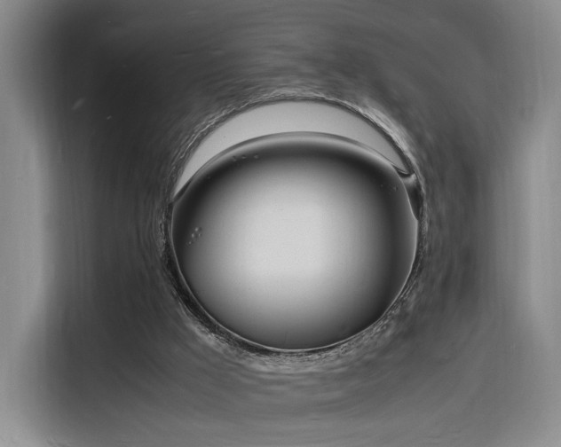 X0000116140009200911231320