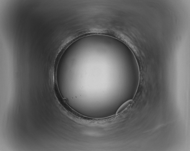 X0000116140011200911231320