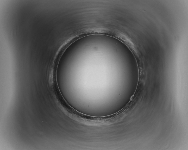 X0000116140012200911231320