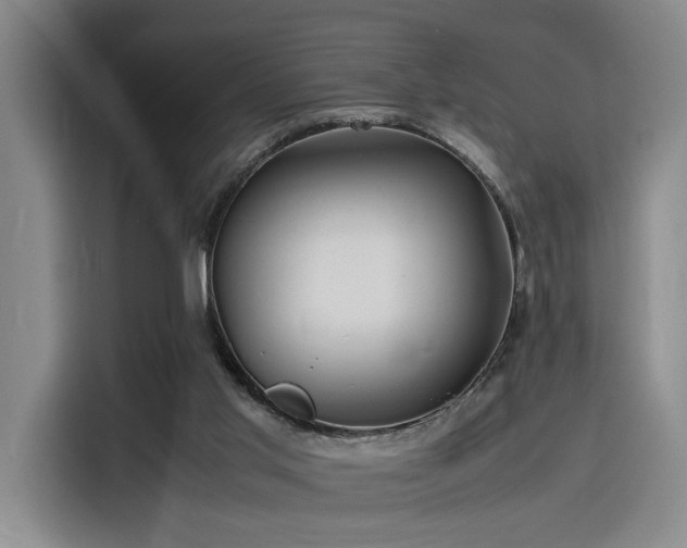 X0000116140013200911231320