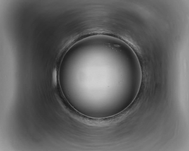 X0000116140014200911231320