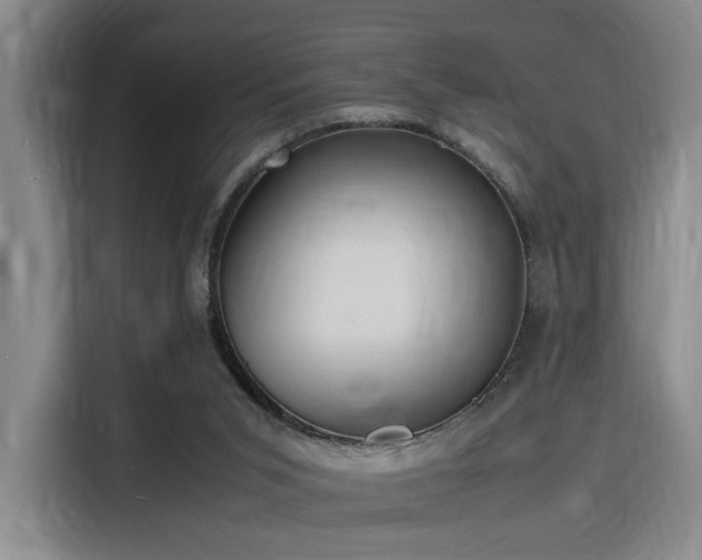 X0000116140015200911231320
