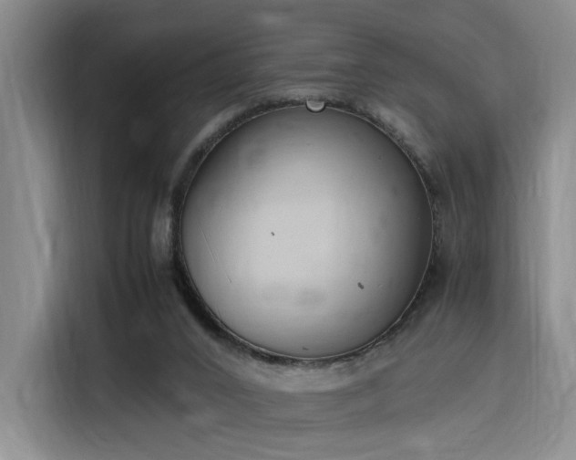 X0000116140016200911231320