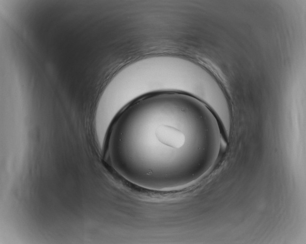 X0000116140017200911231320