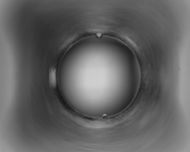 X0000116140020200911231320