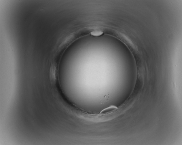 X0000116140023200911231320