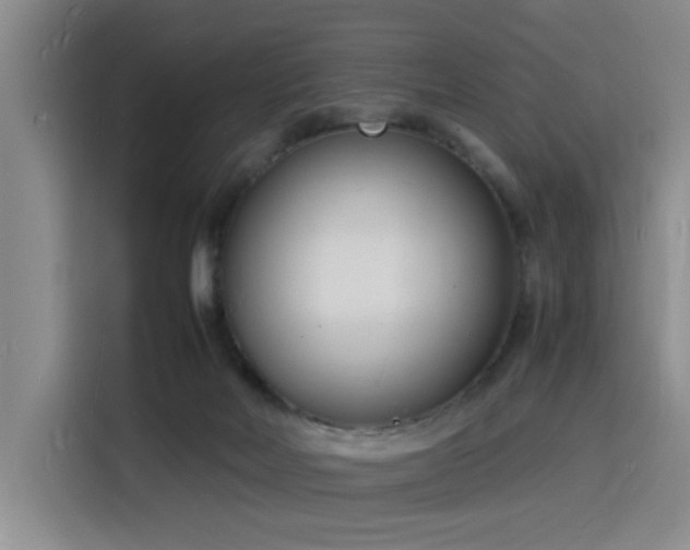 X0000116140026200911231320