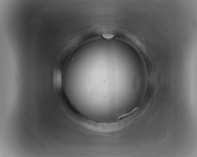 X0000116140027200911231320