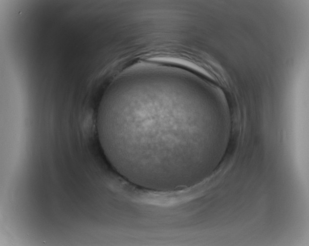 X0000116140029200911231320