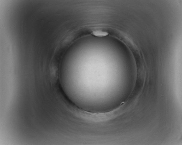 X0000116140031200911231320