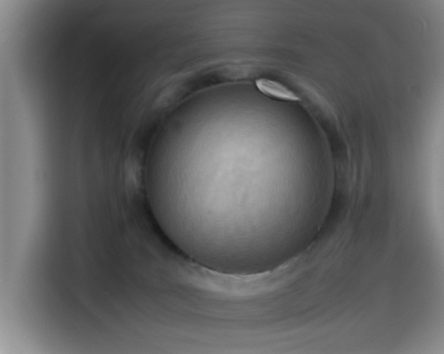 X0000116140035200911231320