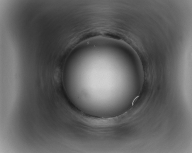 X0000116140036200911231320
