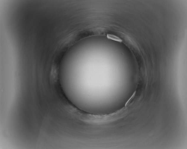X0000116140037200911231320