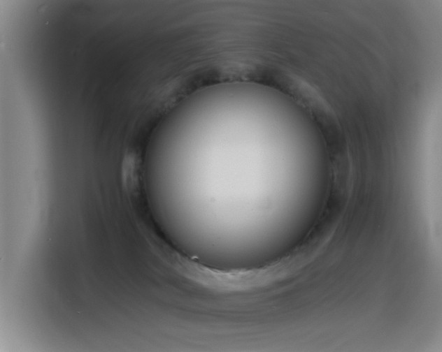 X0000116140038200911231320