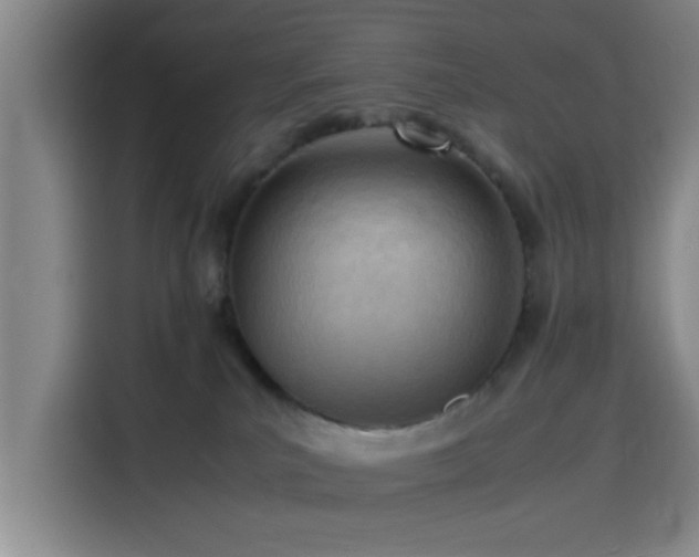 X0000116140039200911231320