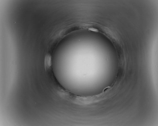 X0000116140041200911231320