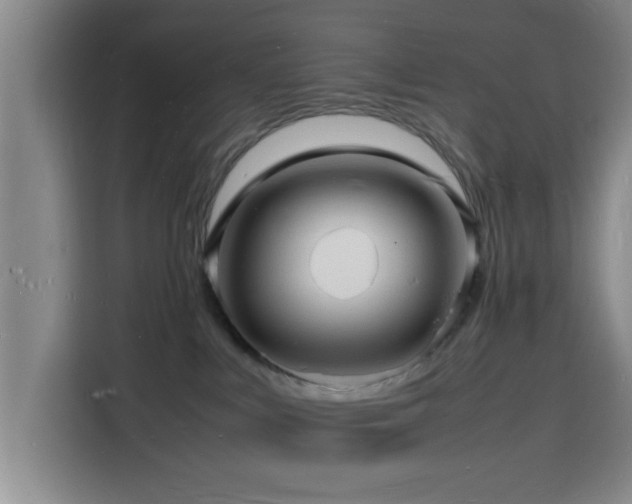X0000116140043200911231320
