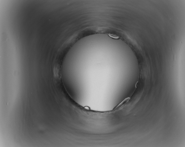 X0000116140044200911231320