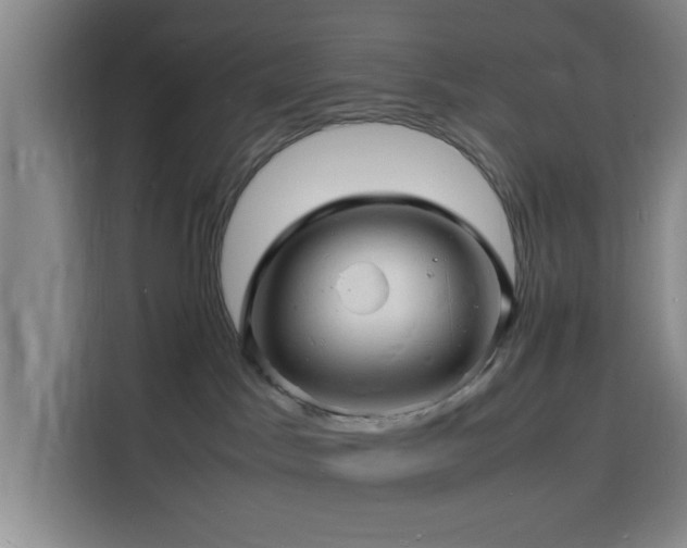 X0000116140045200911231320