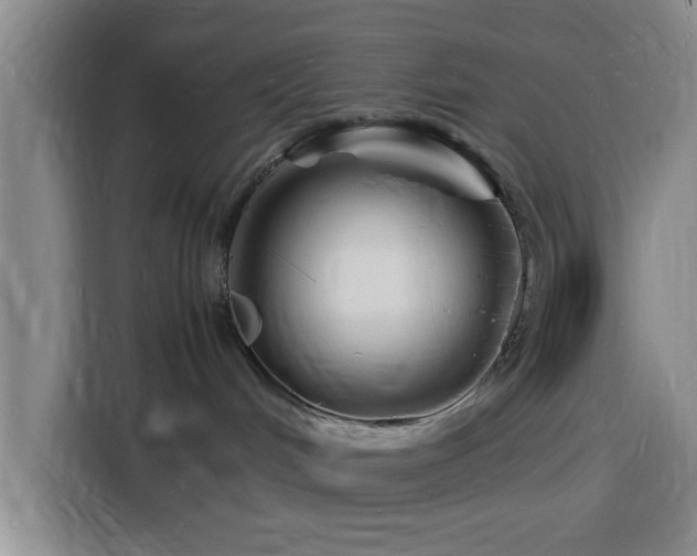 X0000116140048200911231320