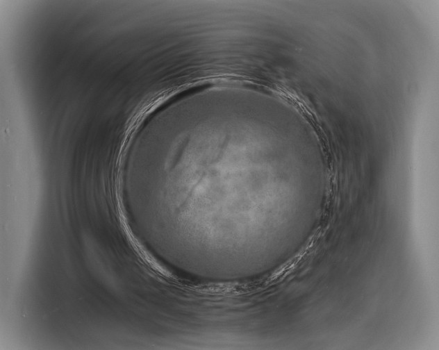 X0000116140049200911231319