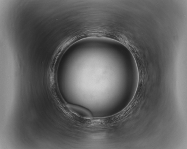 X0000116140050200911231319