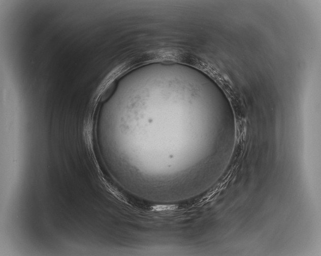 X0000116140051200911231319