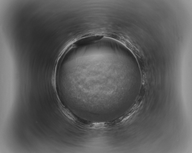 X0000116140052200911231319