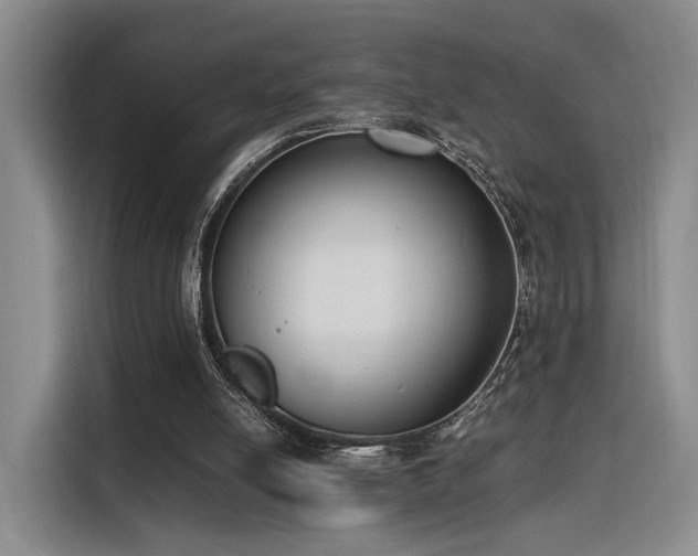 X0000116140054200911231319