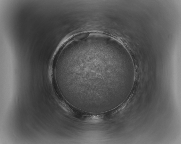 X0000116140056200911231319