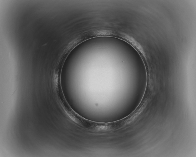 X0000116140057200911231319