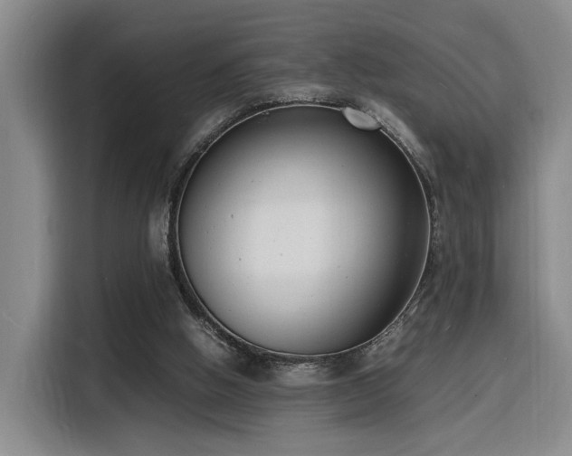 X0000116140058200911231319