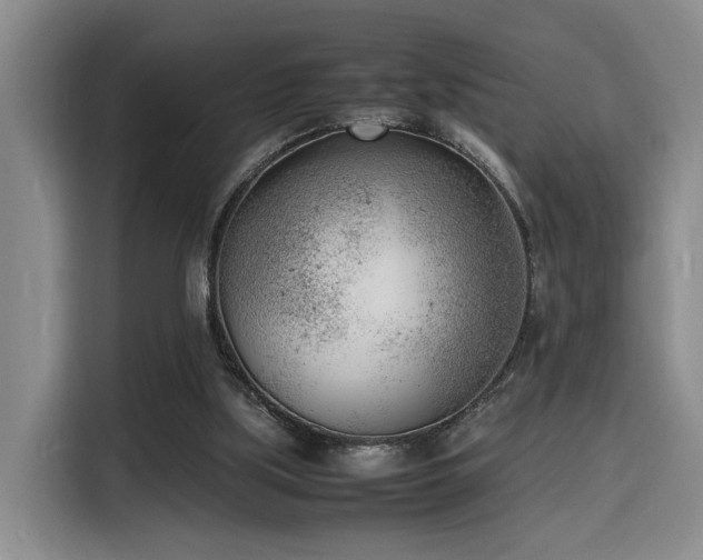 X0000116140059200911231319