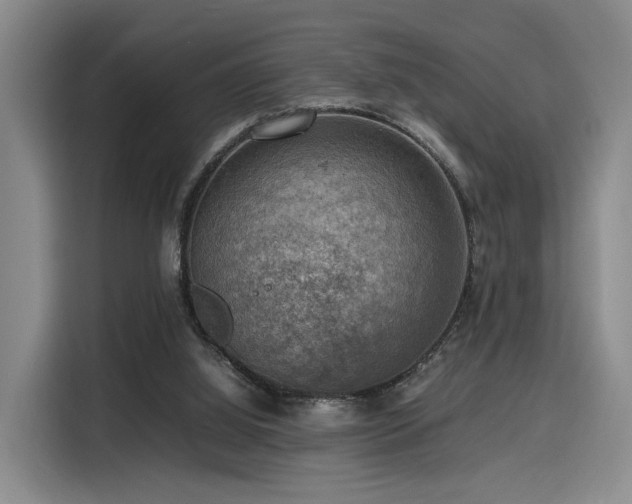 X0000116140060200911231319
