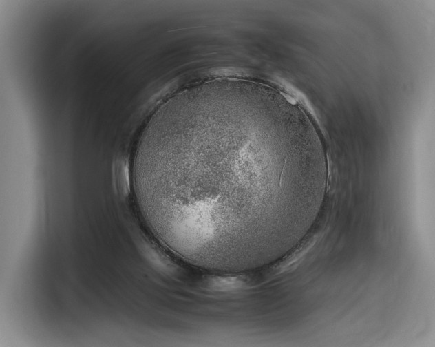 X0000116140061200911231319