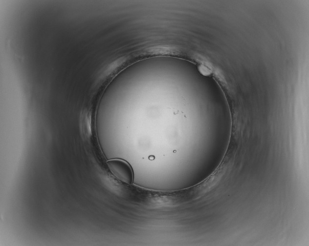 X0000116140062200911231319