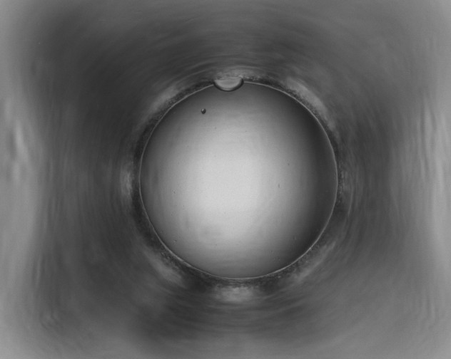 X0000116140063200911231319