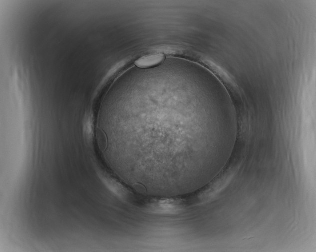 X0000116140064200911231319