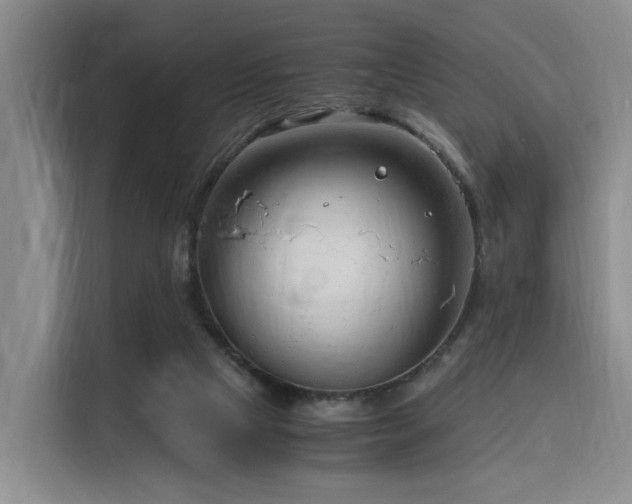 X0000116140065200911231319