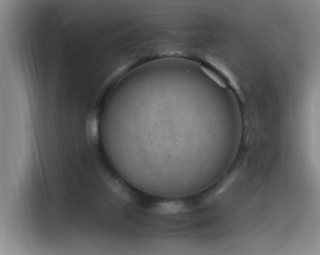 X0000116140067200911231319