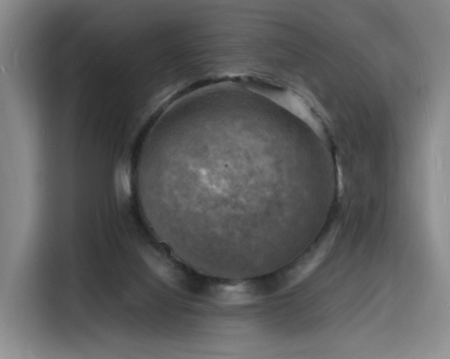X0000116140068200911231319