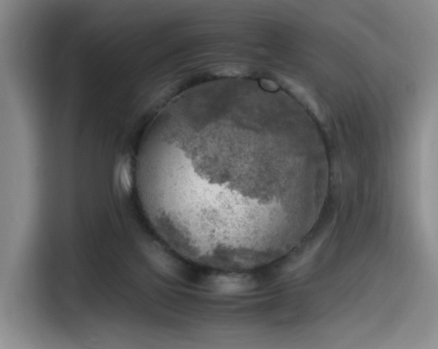 X0000116140069200911231319