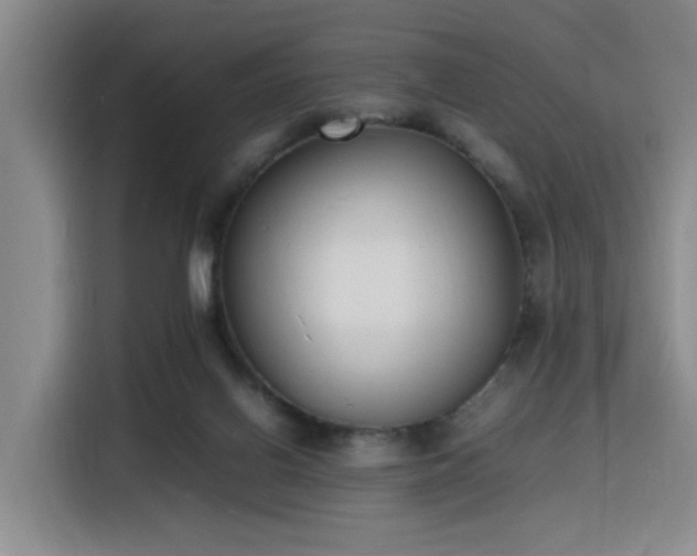 X0000116140070200911231319