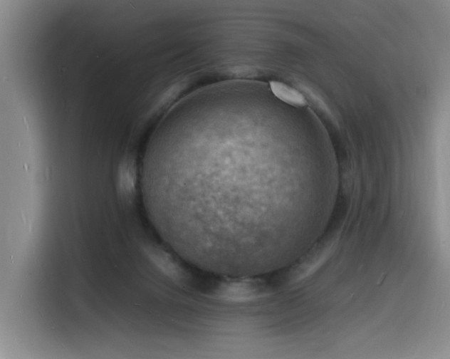 X0000116140072200911231319