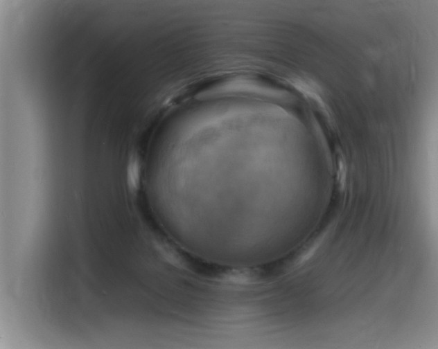 X0000116140076200911231319