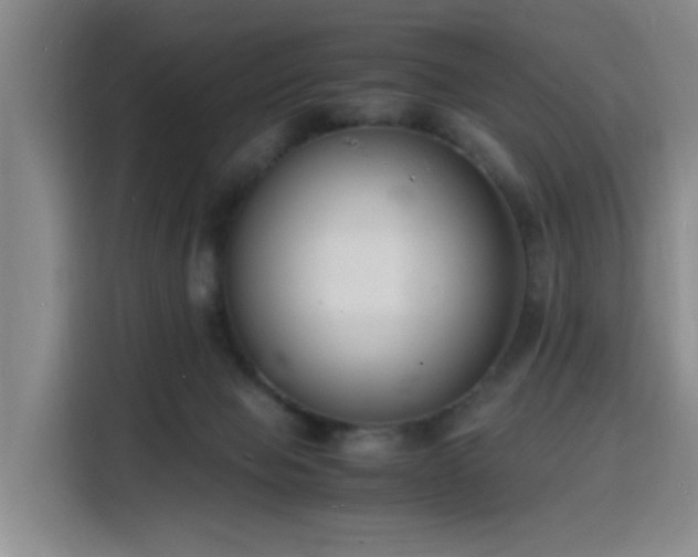X0000116140077200911231320