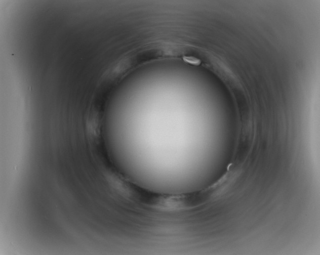 X0000116140078200911231320