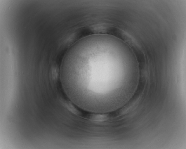X0000116140081200911231320