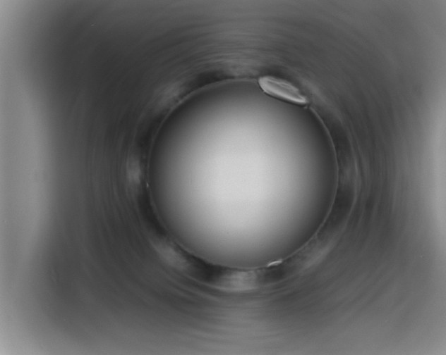 X0000116140084200911231320