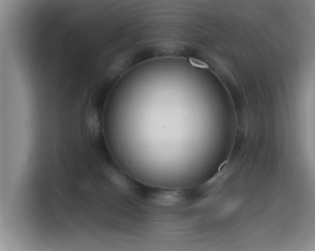X0000116140086200911231320